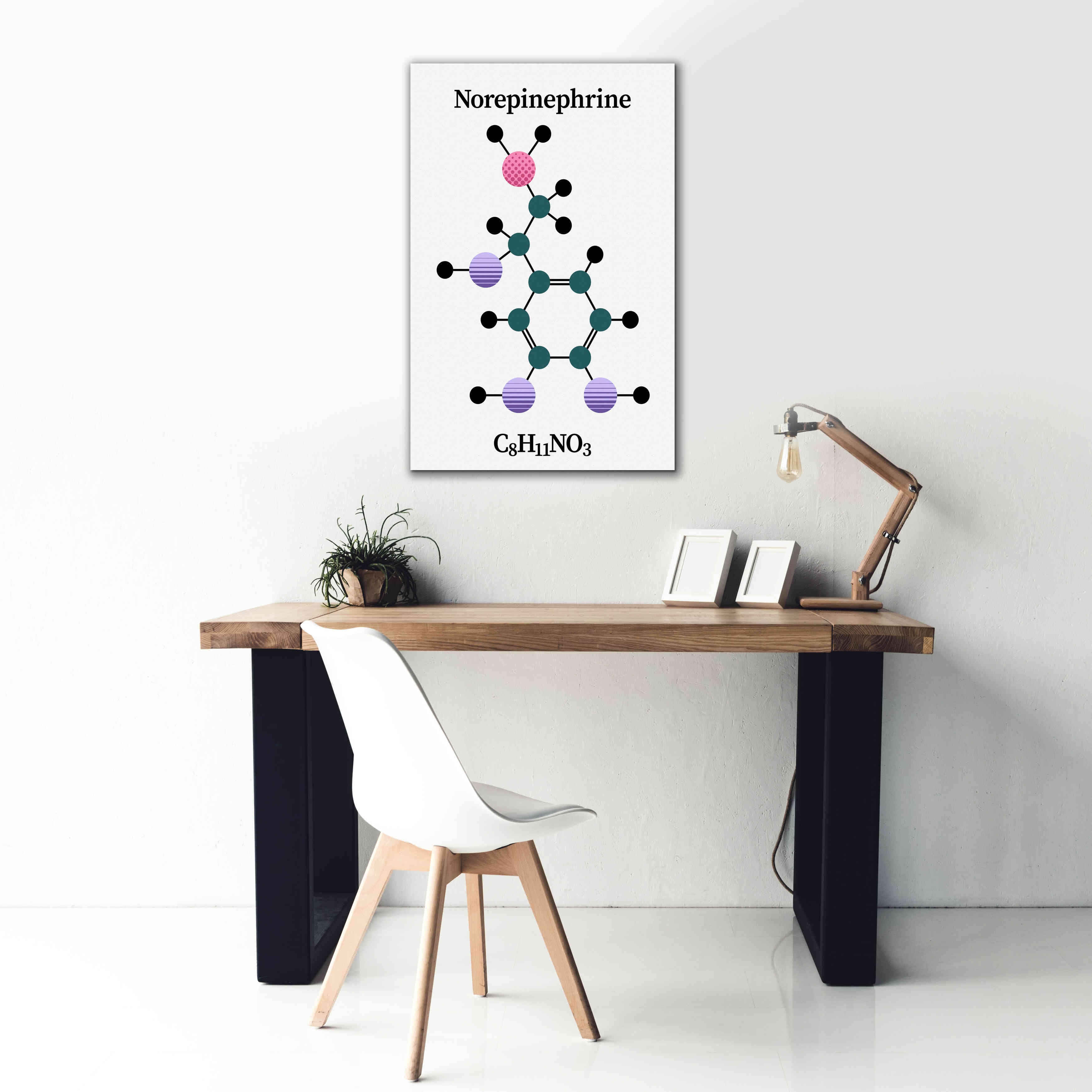 'Norepinephrine Molecule' by Epic Portfolio, Giclee Canvas Wall Art,26x40