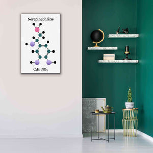 'Norepinephrine Molecule' by Epic Portfolio, Giclee Canvas Wall Art,26x40