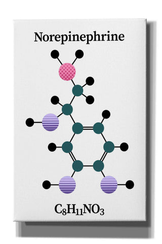 Image of 'Norepinephrine Molecule' by Epic Portfolio, Giclee Canvas Wall Art