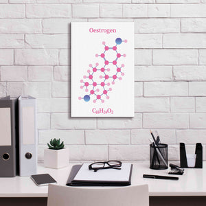 'Oestrogen Molecule' by Epic Portfolio, Giclee Canvas Wall Art,12x18