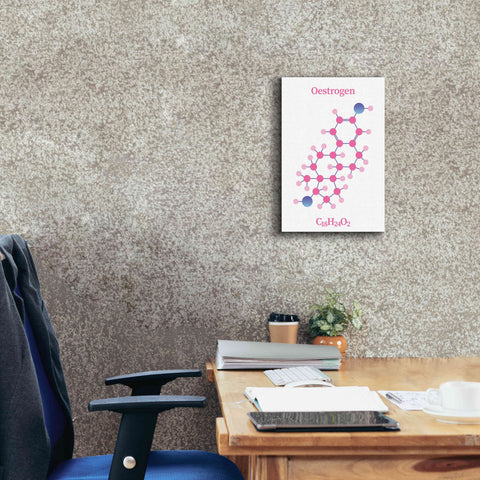 Image of 'Oestrogen Molecule' by Epic Portfolio, Giclee Canvas Wall Art,12x18
