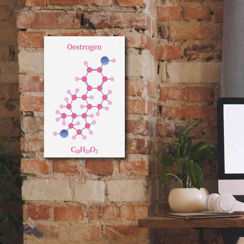 Image of 'Oestrogen Molecule' by Epic Portfolio, Giclee Canvas Wall Art,12x18