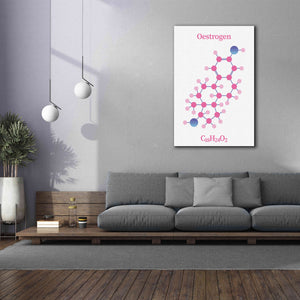 'Oestrogen Molecule' by Epic Portfolio, Giclee Canvas Wall Art,40x60