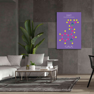 'DMT Molecule' by Epic Portfolio, Giclee Canvas Wall Art,40x60