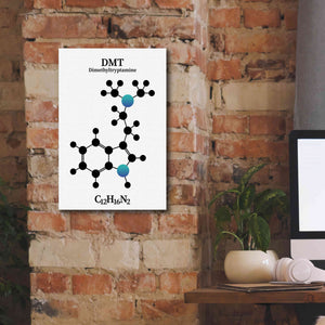 'DMT Molecule 2' by Epic Portfolio, Giclee Canvas Wall Art,12x18