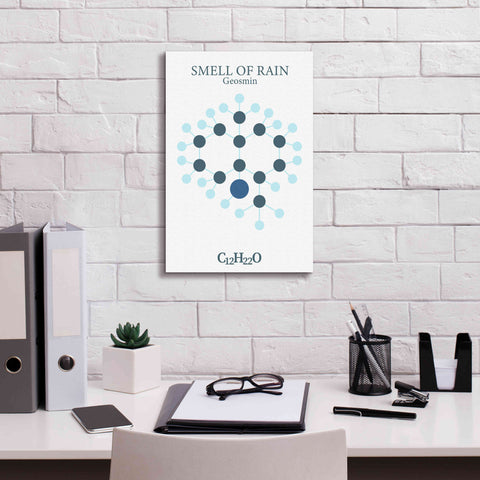 Image of 'Smell Of Rain Molecule' by Epic Portfolio, Giclee Canvas Wall Art,12x18