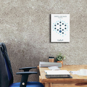 'Smell Of Rain Molecule' by Epic Portfolio, Giclee Canvas Wall Art,12x18