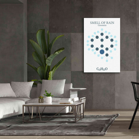 Image of 'Smell Of Rain Molecule' by Epic Portfolio, Giclee Canvas Wall Art,40x60