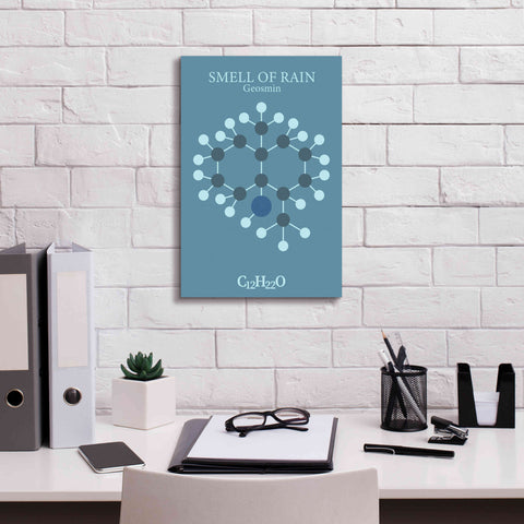 Image of 'Smell Of Rain Molecule 2' by Epic Portfolio, Giclee Canvas Wall Art,12x18