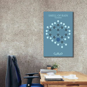 'Smell Of Rain Molecule 2' by Epic Portfolio, Giclee Canvas Wall Art,26x40