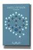 'Smell Of Rain Molecule 2' by Epic Portfolio, Giclee Canvas Wall Art