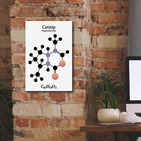Image of 'Catnip Molecule' by Epic Portfolio, Giclee Canvas Wall Art,12x18