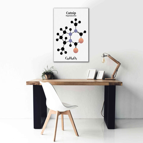 Image of 'Catnip Molecule' by Epic Portfolio, Giclee Canvas Wall Art,26x40