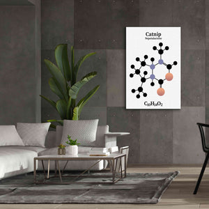 'Catnip Molecule' by Epic Portfolio, Giclee Canvas Wall Art,40x60