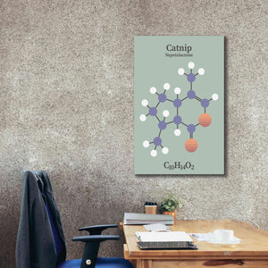 'Catnip Molecule 2' by Epic Portfolio, Giclee Canvas Wall Art,26x40