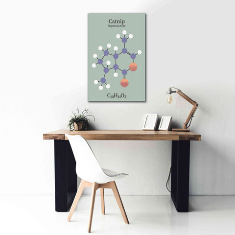 Image of 'Catnip Molecule 2' by Epic Portfolio, Giclee Canvas Wall Art,26x40