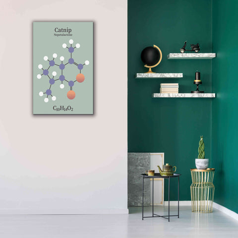 Image of 'Catnip Molecule 2' by Epic Portfolio, Giclee Canvas Wall Art,26x40