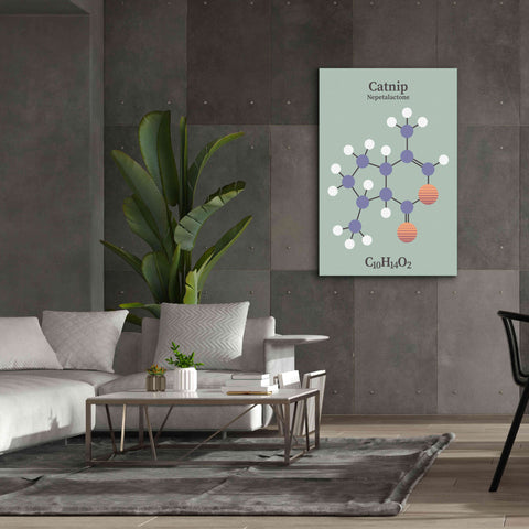 Image of 'Catnip Molecule 2' by Epic Portfolio, Giclee Canvas Wall Art,40x60