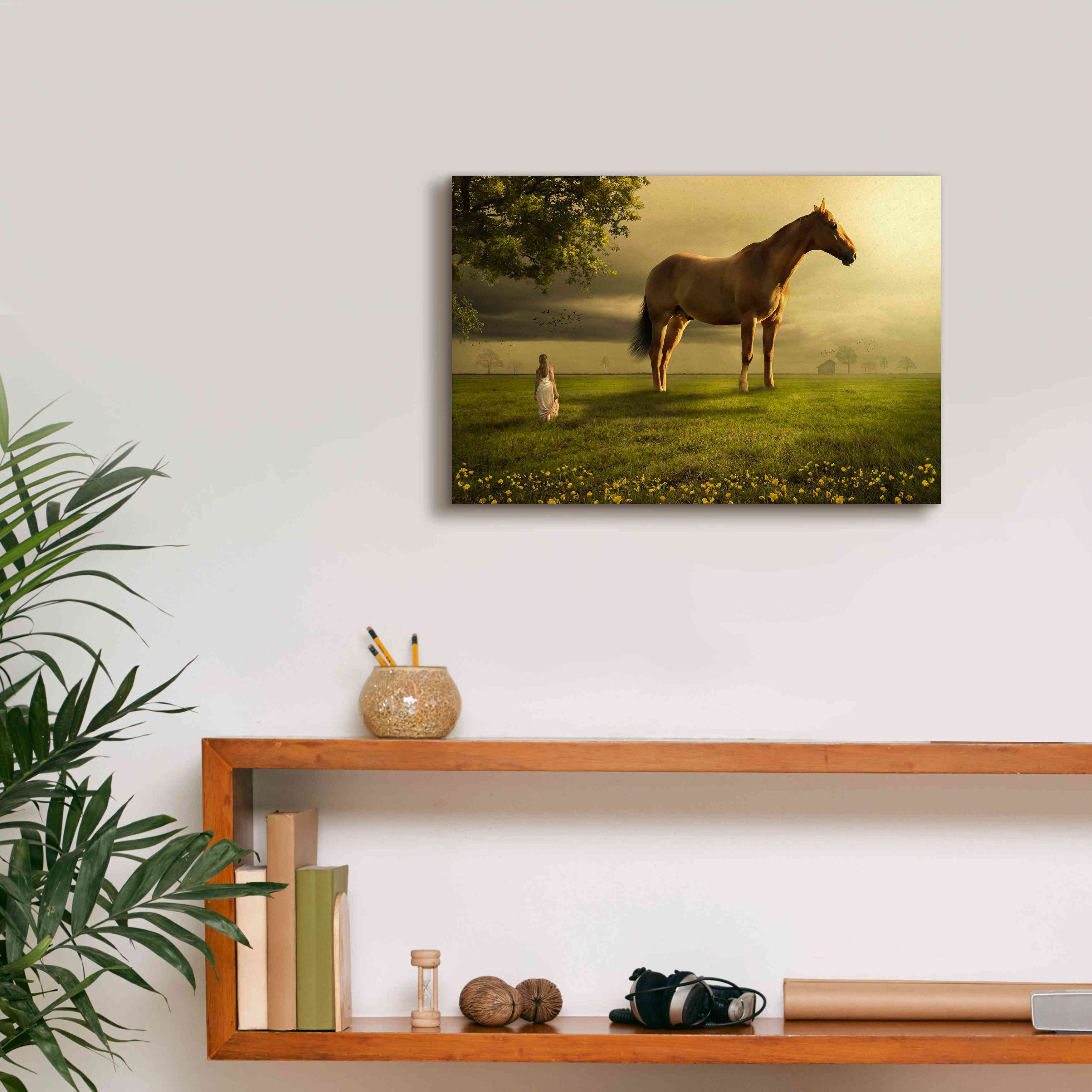 'Field of Visions' by Alan, Giclee Canvas Wall Art,18x12