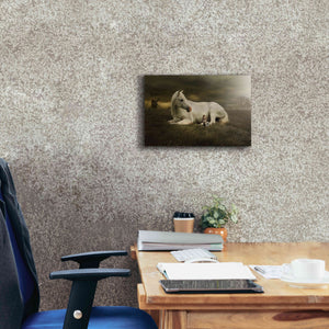 'Oversized' by Alan, Giclee Canvas Wall Art,18x12
