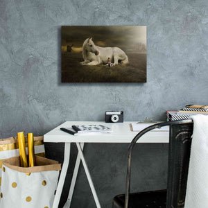 'Oversized' by Alan, Giclee Canvas Wall Art,18x12