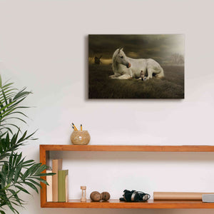 'Oversized' by Alan, Giclee Canvas Wall Art,18x12