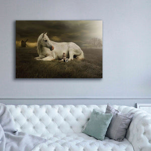 'Oversized' by Alan, Giclee Canvas Wall Art,60x40