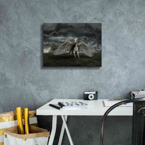 'Pegasus Rising' by Alan, Giclee Canvas Wall Art,16x12