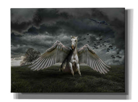'Pegasus Rising' by Alan, Giclee Canvas Wall Art
