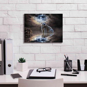 'Polar Bear Reflections' by Alan, Giclee Canvas Wall Art,16x12