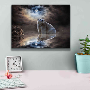 'Polar Bear Reflections' by Alan, Giclee Canvas Wall Art,16x12