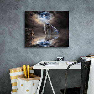 'Polar Bear Reflections' by Alan, Giclee Canvas Wall Art,24x20