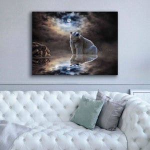 'Polar Bear Reflections' by Alan, Giclee Canvas Wall Art,54x40