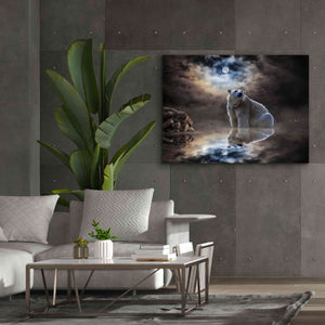 'Polar Bear Reflections' by Alan, Giclee Canvas Wall Art,54x40