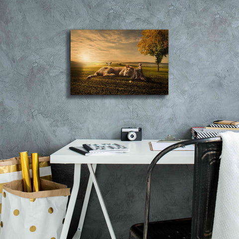 Image of 'Sunset Sleeping' by Alan, Giclee Canvas Wall Art,18x12