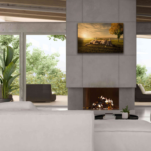 Image of 'Sunset Sleeping' by Alan, Giclee Canvas Wall Art,40x26