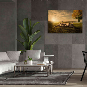 'Sunset Sleeping' by Alan, Giclee Canvas Wall Art,60x40