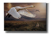'Take Flight' by Alan, Giclee Canvas Wall Art