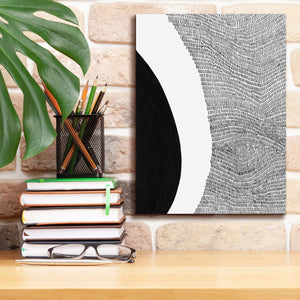 'Black & White Abstract II' by Regina Moore, Canvas Wall Art,12 x 16