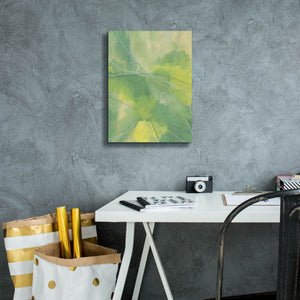 'Heartland II' by Regina Moore, Canvas Wall Art,12 x 16