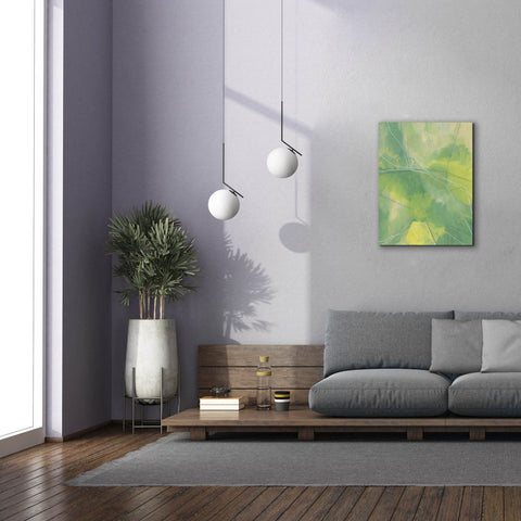 Image of 'Heartland II' by Regina Moore, Canvas Wall Art,26 x 34