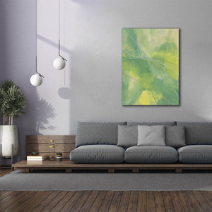 'Heartland II' by Regina Moore, Canvas Wall Art,40x54