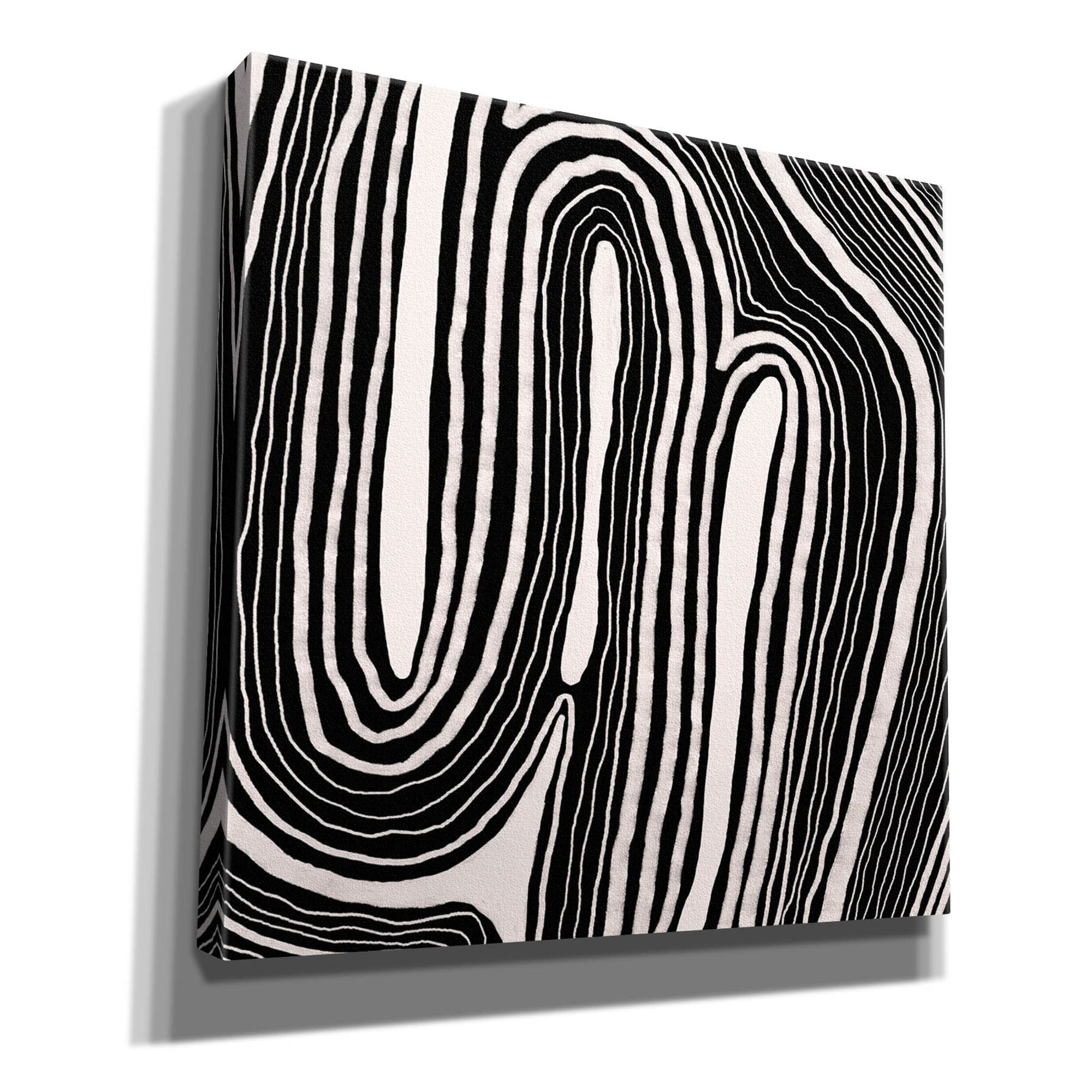'Dizziness I' by Regina Moore, Canvas Wall Art