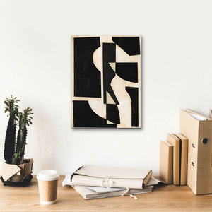 'Onyx Cutout Shapes II' by Regina Moore, Canvas Wall Art,12 x 16