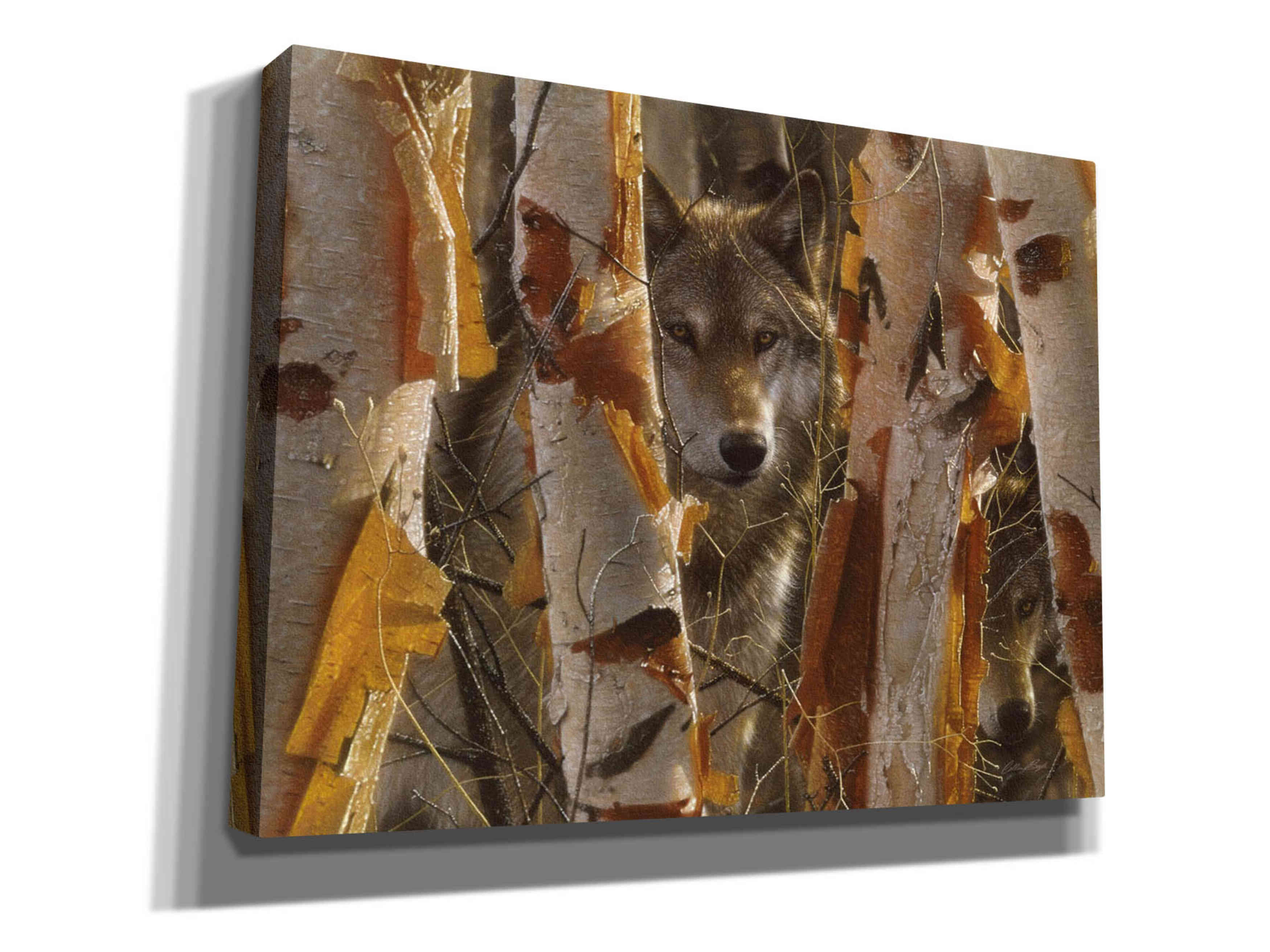 'The Guardian' by Collin Bogle, Canvas Wall Art,Size C Landscape