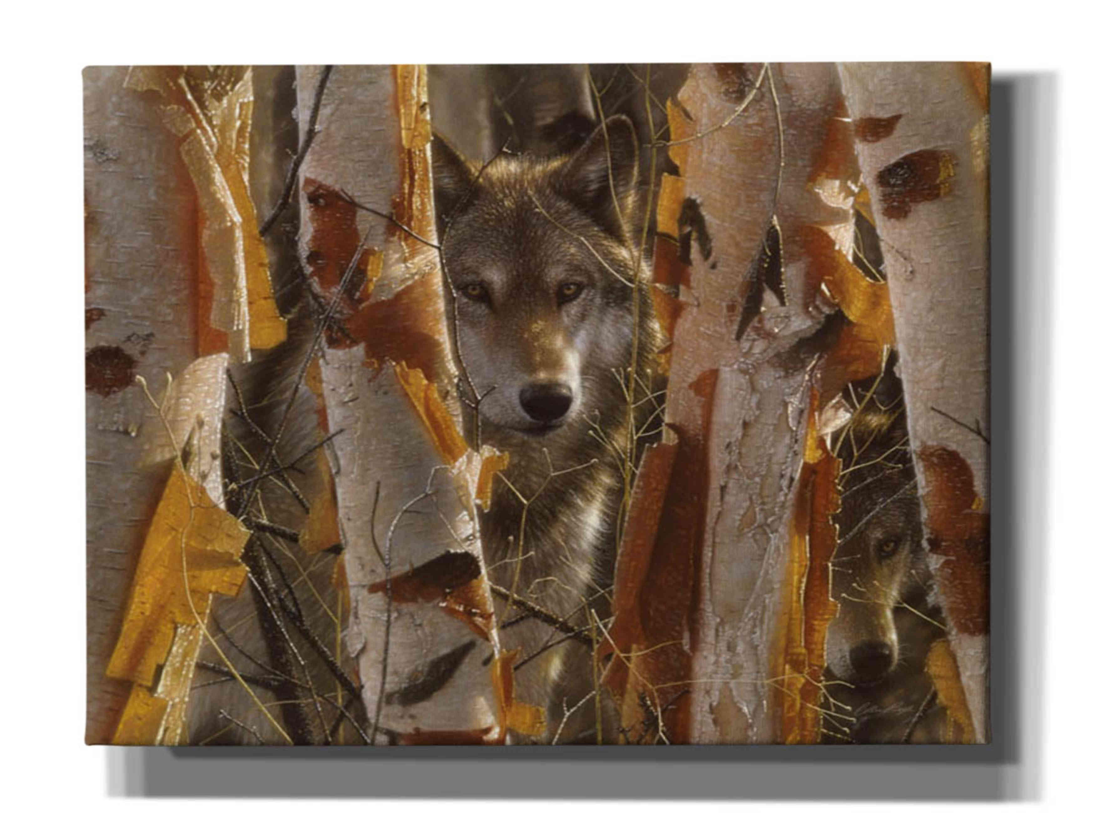 'The Guardian' by Collin Bogle, Canvas Wall Art,Size C Landscape