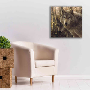 'Wood Land Companions' by Collin Bogle, Canvas Wall Art,26x26
