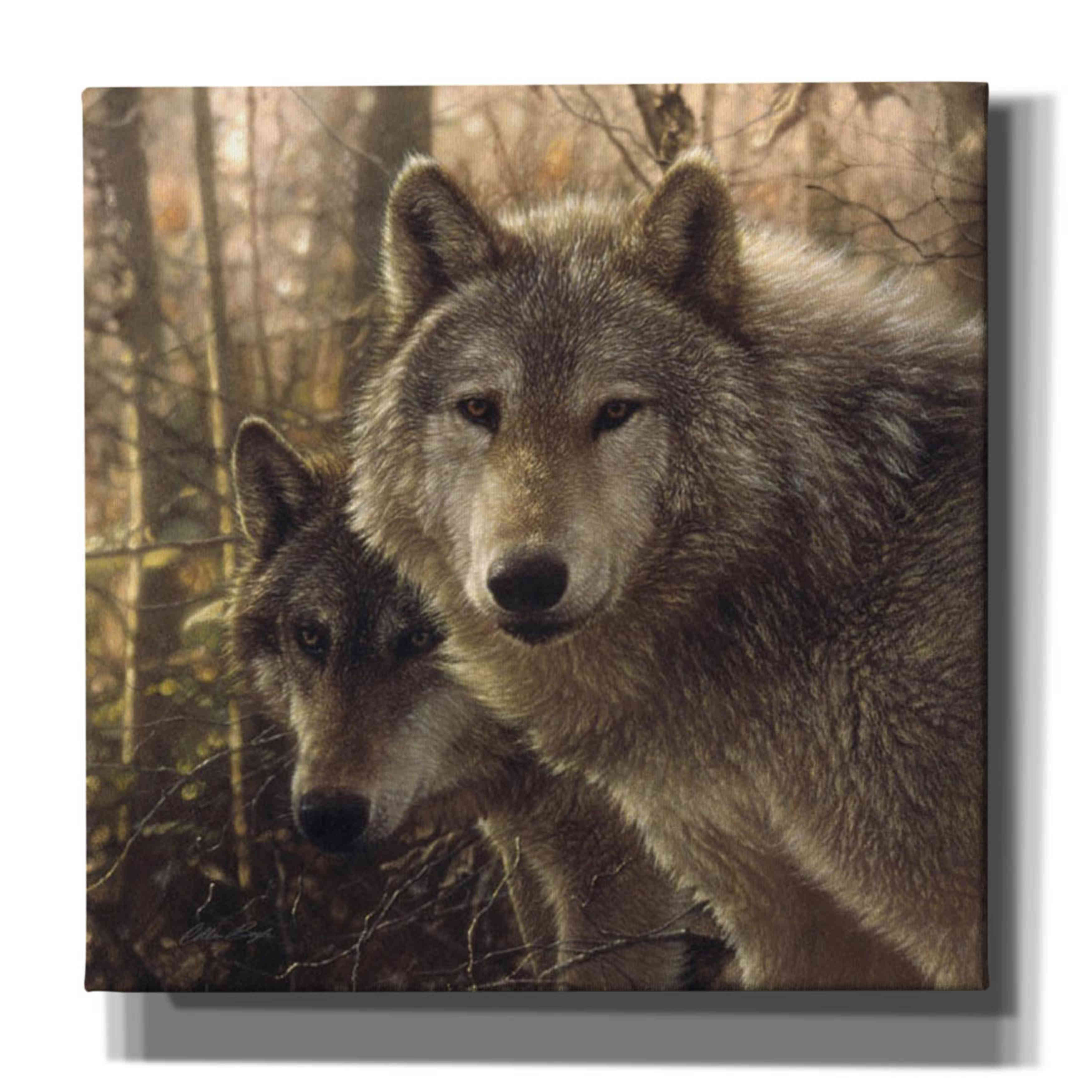 'Wood Land Companions' by Collin Bogle, Canvas Wall Art,Size 1 Square