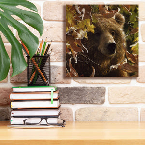 'Legend Of The Fall' by Collin Bogle, Canvas Wall Art,12x12