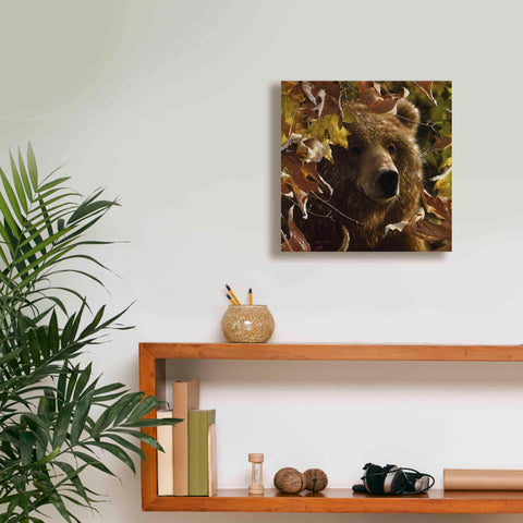 Image of 'Legend Of The Fall' by Collin Bogle, Canvas Wall Art,12x12